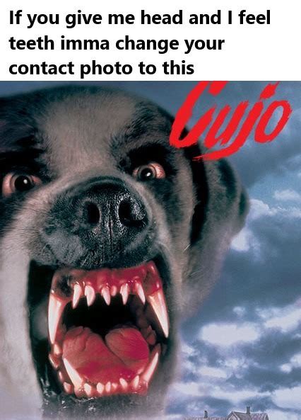 cujo meme